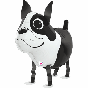 Boston Terrier Dog Walking Balloon Friend Foil Balloon
